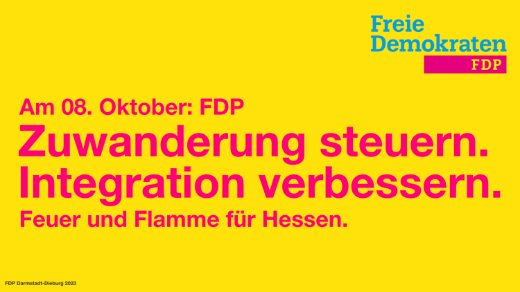 FDP Darmstadt Dieburg Zuwanderung